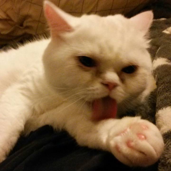 F03247cb 53c6 48c1 9ca9 251be1b780ab 1522751245560