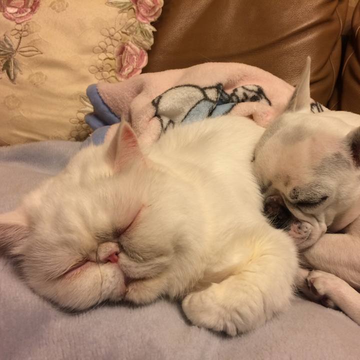 F0325922 b7ab 4780 b619 a24569ac5bba 1648559434571