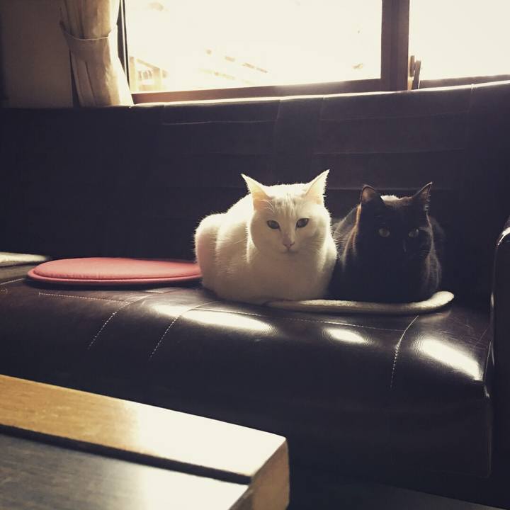 F0326f9b 2950 4bf2 8fbc 3ead14604b03 1519777213198