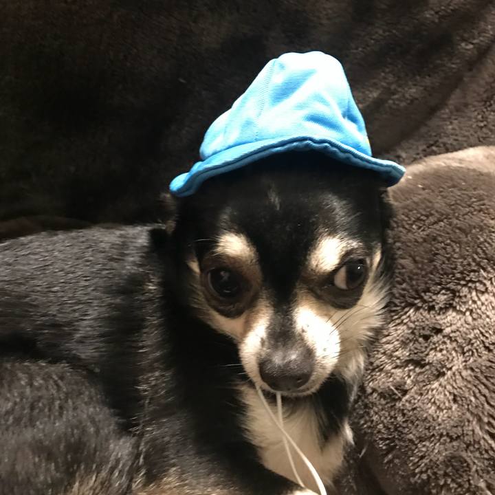 F0327353 3a80 4771 94ff 9606abb01e53 1521972982576