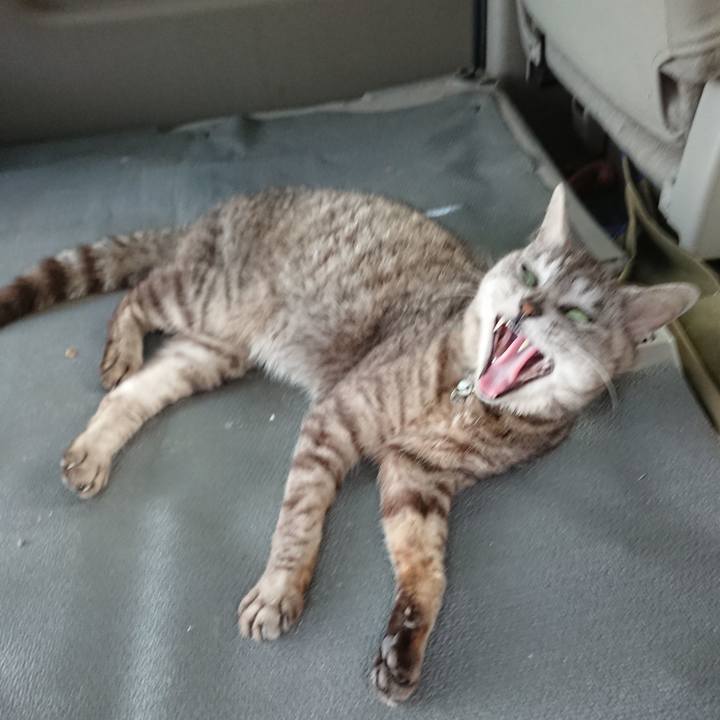 F032846e b5f1 4d7f ae00 a6debe32cf77 1564048637817