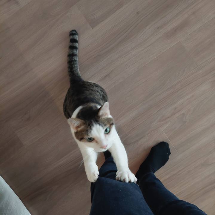 F032fa1e f0f9 4d37 b779 a9d8deda2af1 1624484709785