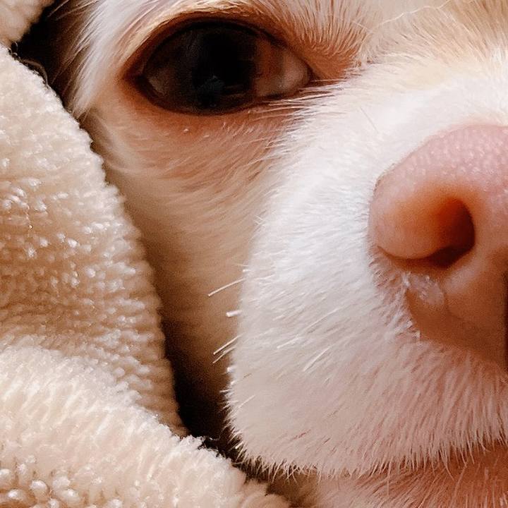 F032fe4e e386 431b aad8 9d1c20261e49 1676633899108