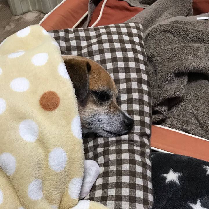 F0331622 b221 4947 b8e0 bc0444321b23 1550400615705