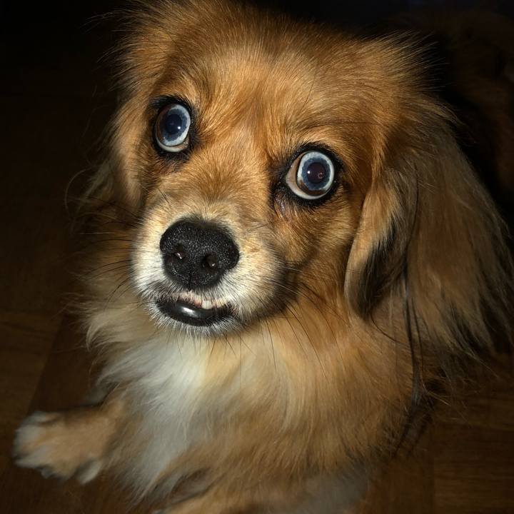 F03346ce 6599 4ed6 862b aee08e7f1bbe 1571869739411