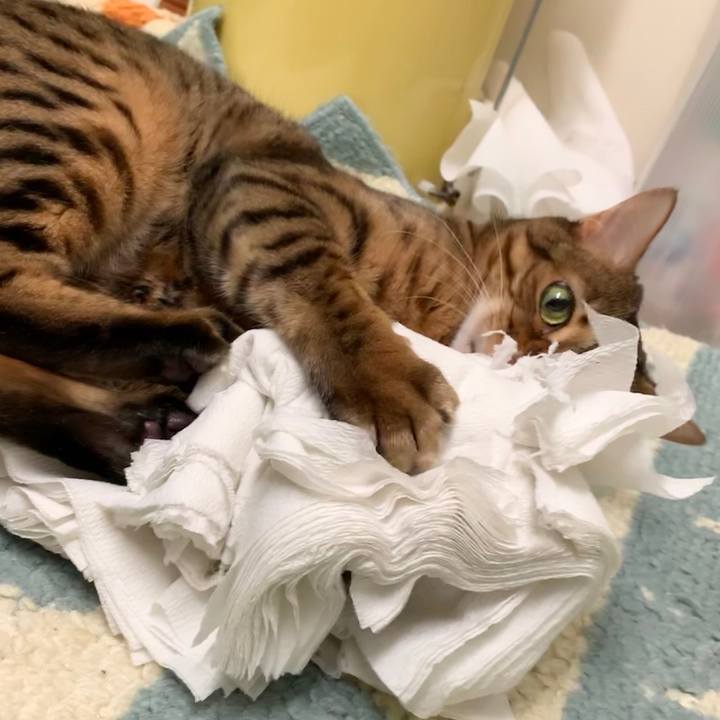 F033716e c7f1 4b98 9127 cfebf5231a67 1600727748941