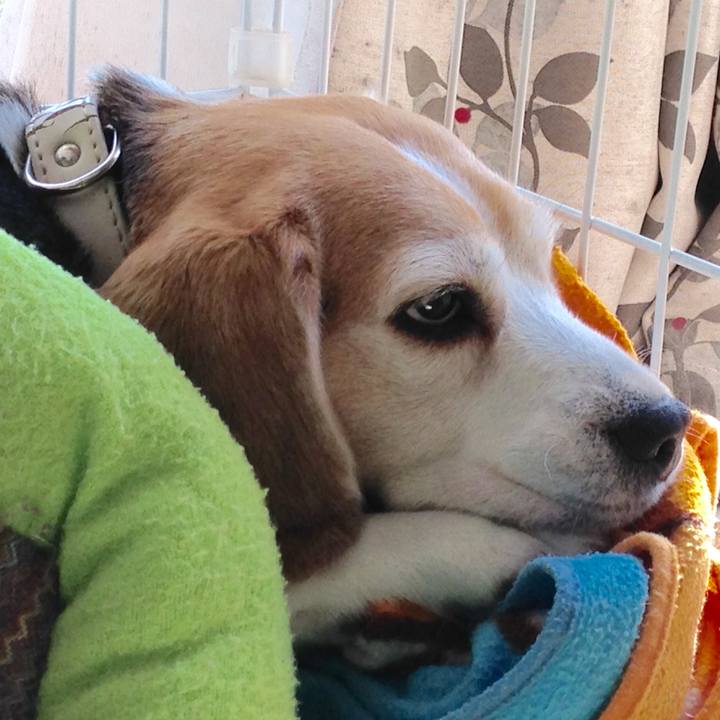 F0339f22 b81e 49ca 8507 dc68737bf16c 1741997860248