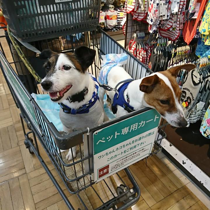 F033d011 4062 4aaf b16d 4f4fed6e7a88 1525851665821