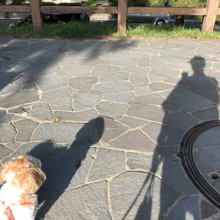 F033d3b4 c032 46ee 9d22 e757444c62be 1534556338624