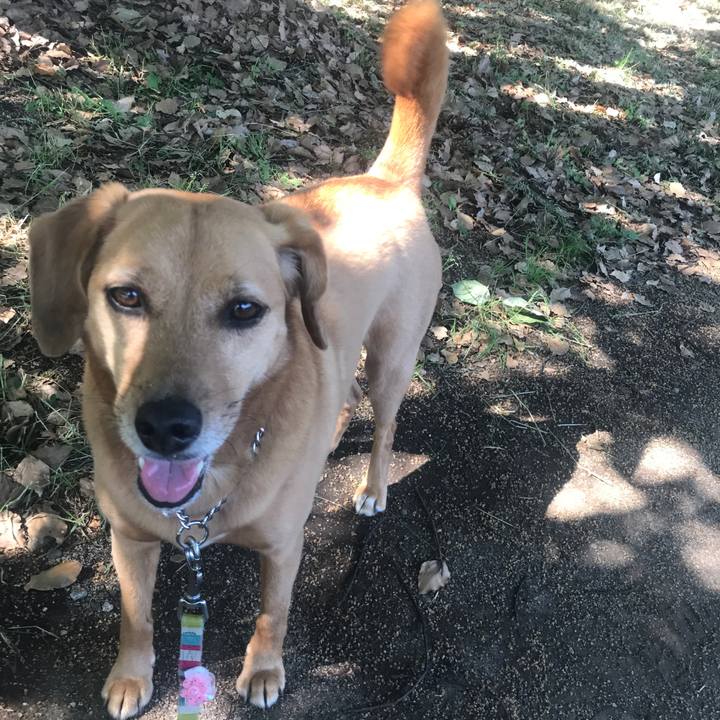 F0341670 0c68 4a33 bde6 ed7148990fde 1558911679340