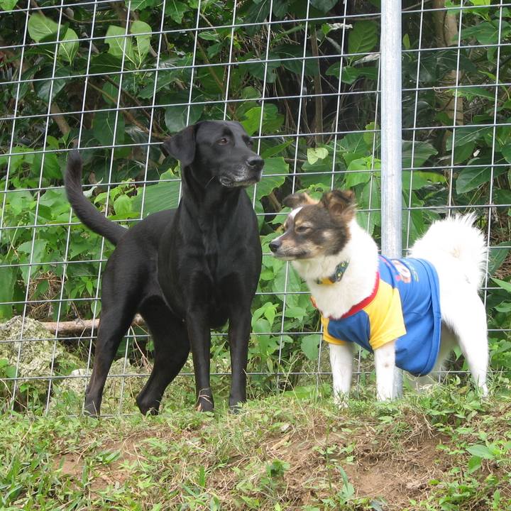 F0341680 4fc2 42f6 a2f9 83c6b1b2f7ed 1609071305418