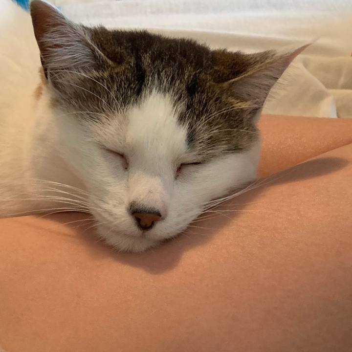 F0341ce9 f8f2 45b1 964e 68f935545619 1620434092276