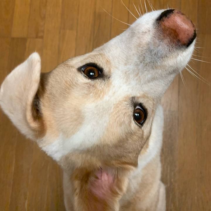 F0341d68 8c9e 402b 8e32 120c1509862e 1572360755205