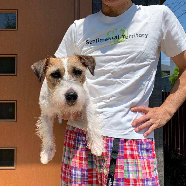 F0342668 1bd4 4243 bdca 7e9e2238d2f3 1597460338418