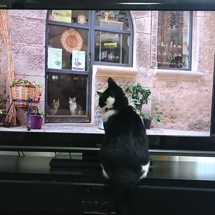 F0346663 fc4d 40b8 af93 a4a81d61d5a7 1586423917405