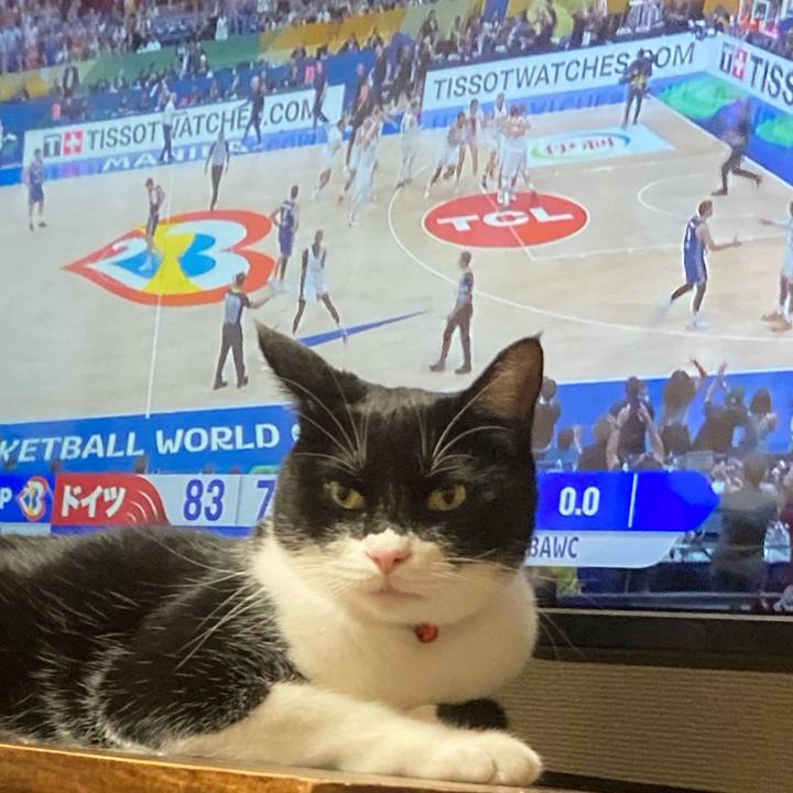 F0349b3d 72c2 4644 bc08 3ce3a5bf489b 1694356996318