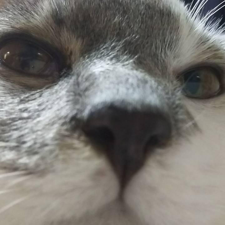 F034b3c2 f9ef 46ff 899c 9204944cc19b 1517614778679