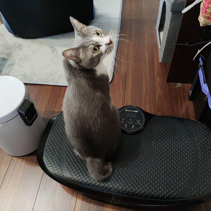 F0352d68 0184 4e08 8a75 caf77e400161 1663844581227