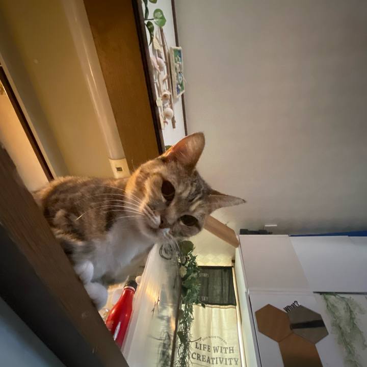 F0355367 7da4 40d1 b7bd ddc5e360e2b2 1614467271567