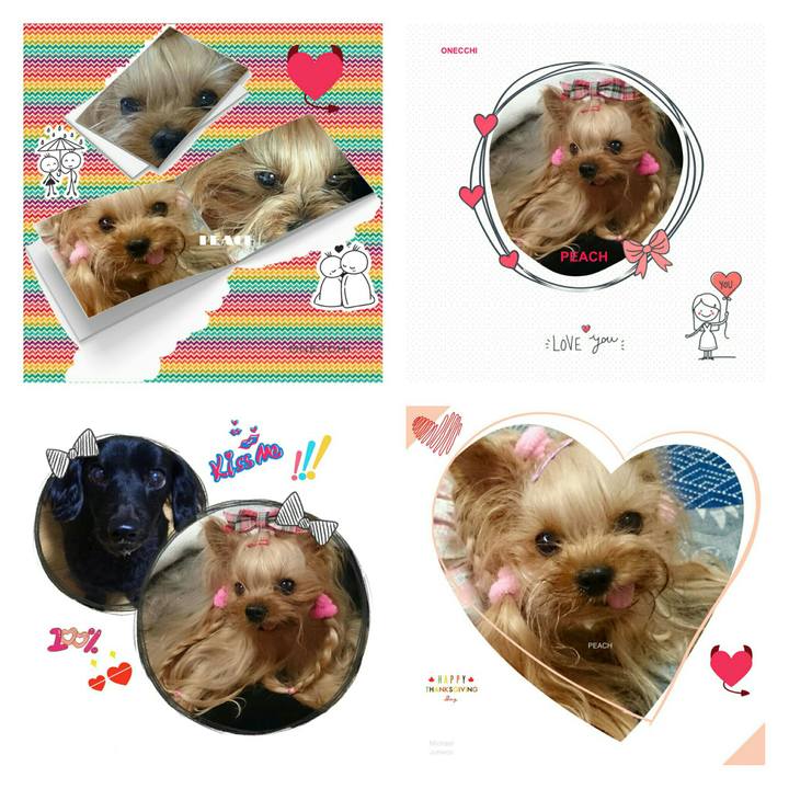 F035924a fec7 4bfe 900c 9d1bb92b04fb 1519895212047