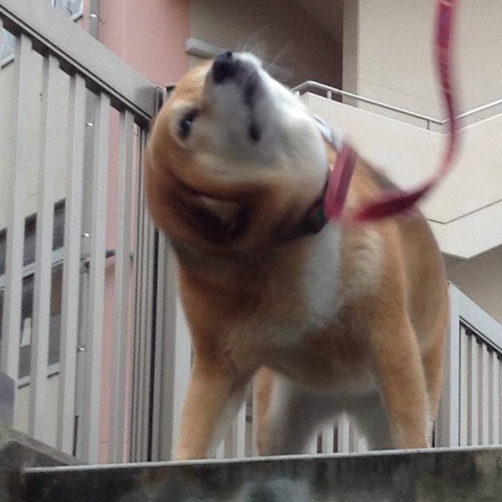 F035a694 b7ee 4700 928b 2933c4508b0f 1538269580946