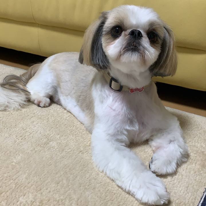 F035a9ce 65f5 484e b086 7a7923f6a867 1693048878535