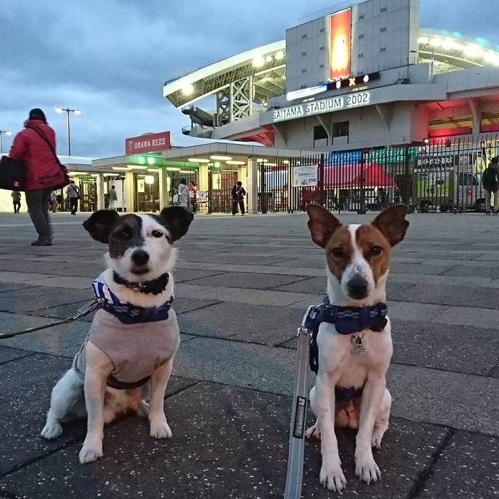 F035b6e1 680e 483b 8b7a b1385d3f091e 1525859784731