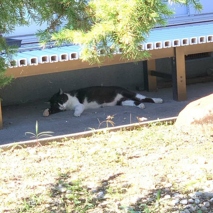 F035cb3a a8c4 4b18 a4f5 b445f0bf2f42 1658985643779