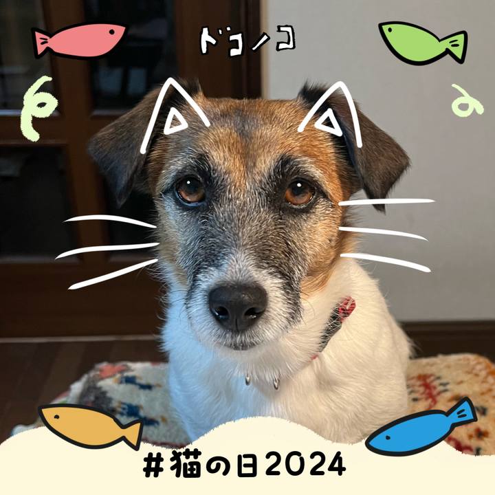 F035d6eb 53e2 4278 8fed c04a718747fb 1708560502246