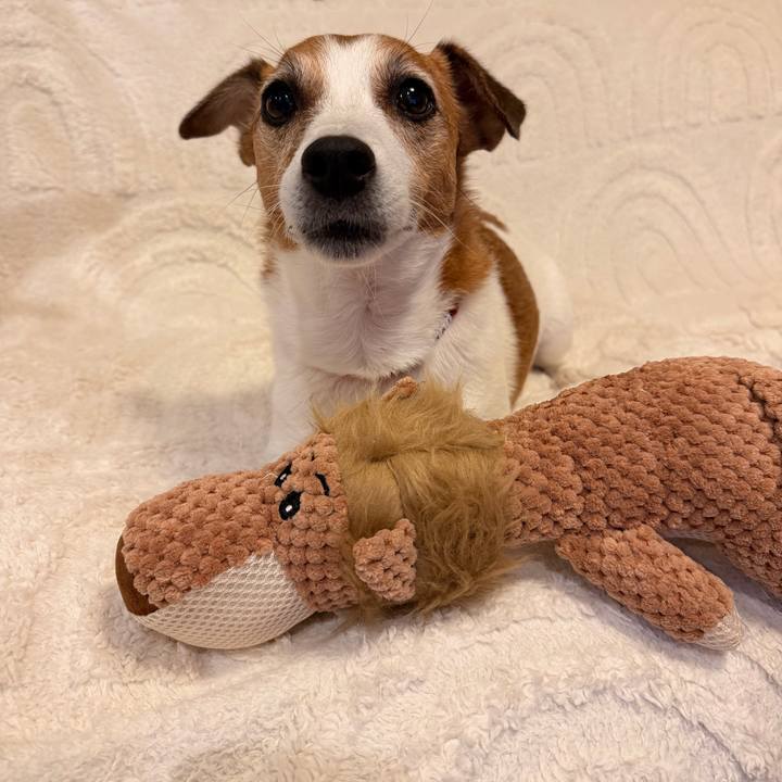 F035e6ce 26ba 4832 b95d e0a46e84db5e 1764591738509