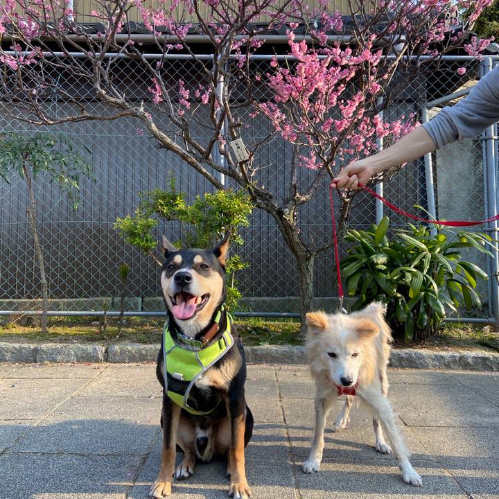 F03614fb d3ef 43fa 845c ead219d7dbf8 1647085319796