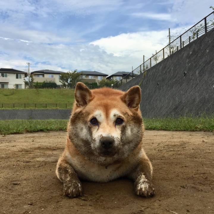 F0362f21 9cbd 406a 85d7 ecb86bd55cdc 1538717698812