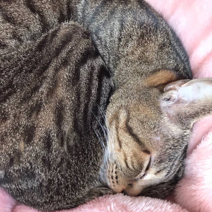 F0363298 7103 41f3 a5e4 8955dd213246 1520472637712