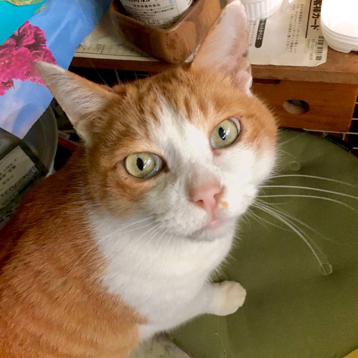 F036478f 2a67 41ea a823 1e97b386bdec 1576132691411