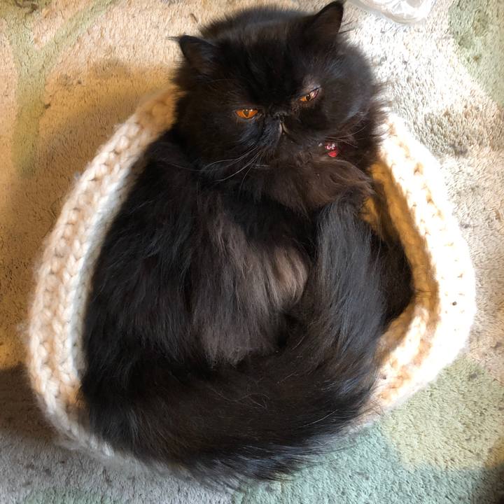 F036606c c06b 4677 84c6 be344dcf2818 1549078165715