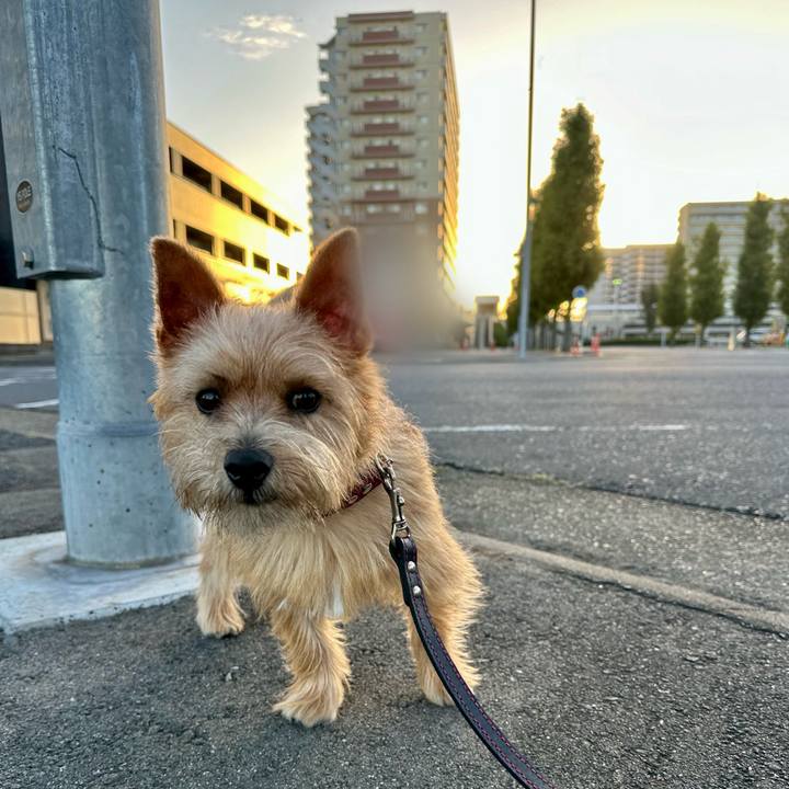 F03667bc 985f 4c00 a7d9 d39b6e6a4ba0 1729592183850