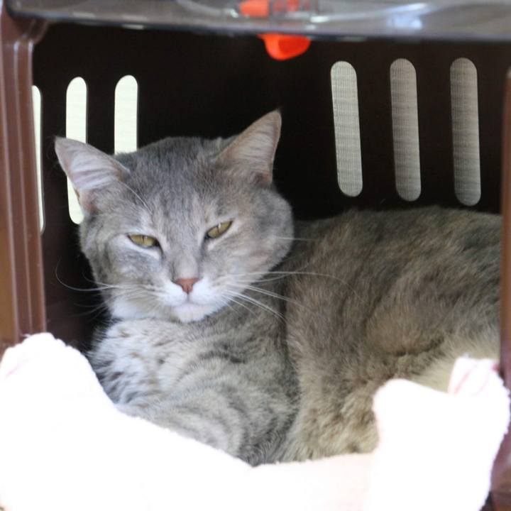 F0369868 8c33 4a5a 9de2 d2666f815247 1535350521437