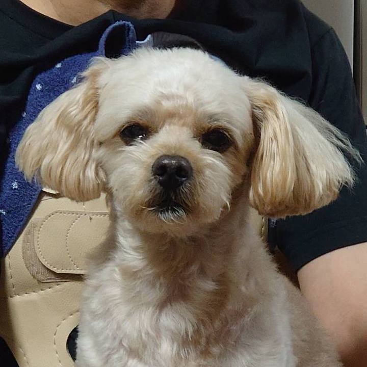 F036b669 cc63 4800 9ca8 fa4092d72cd8 1628164463156