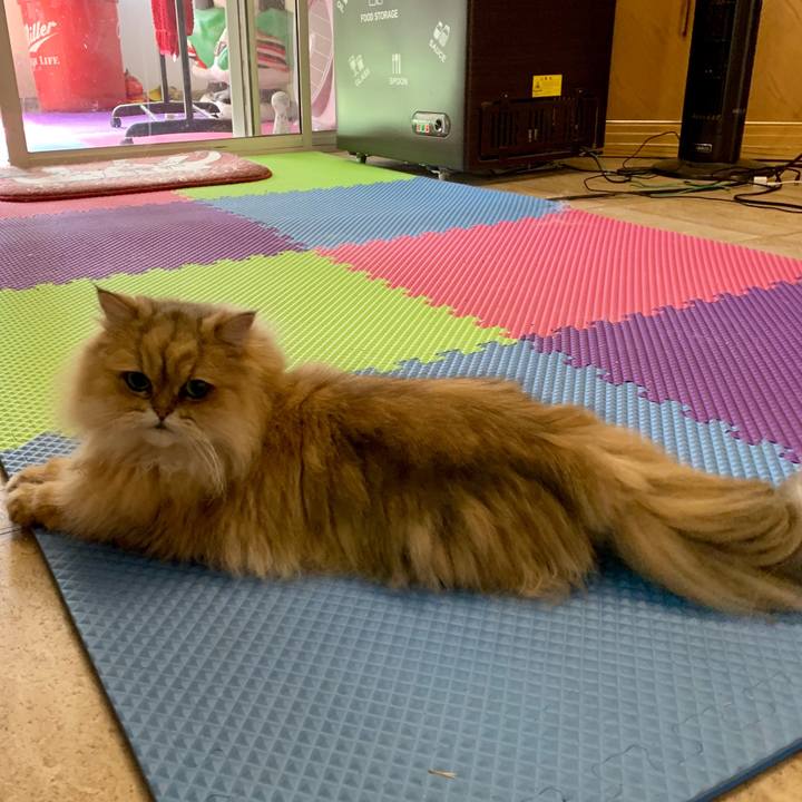 F036bca6 2ca9 4049 94c9 93afb37f4d6b 1568668491695