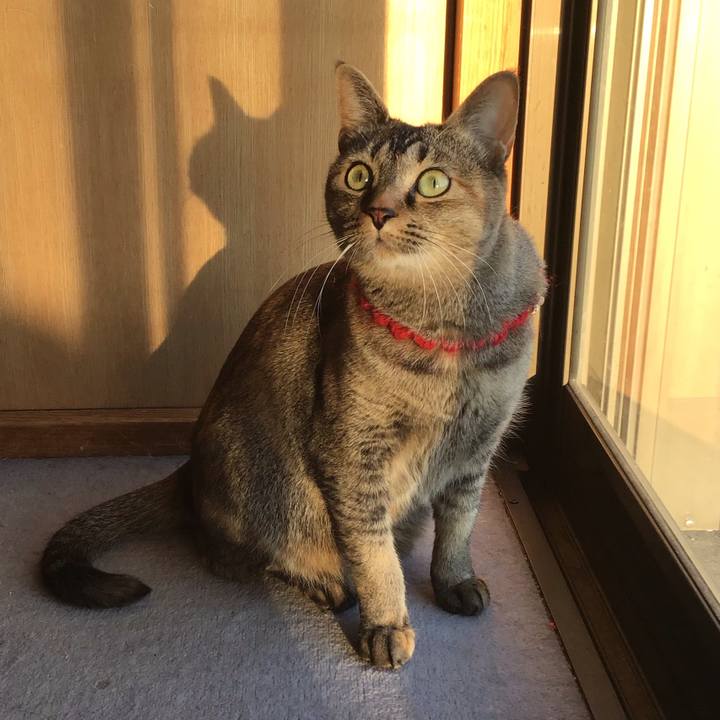 F036be0c e06a 45d5 a755 4938f3fb1da1 1613980377755