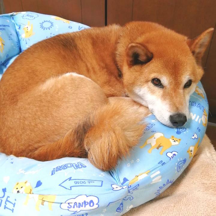 F036c0ad 8e46 4c7b 8f2f ab5c482cb4de 1653113676159