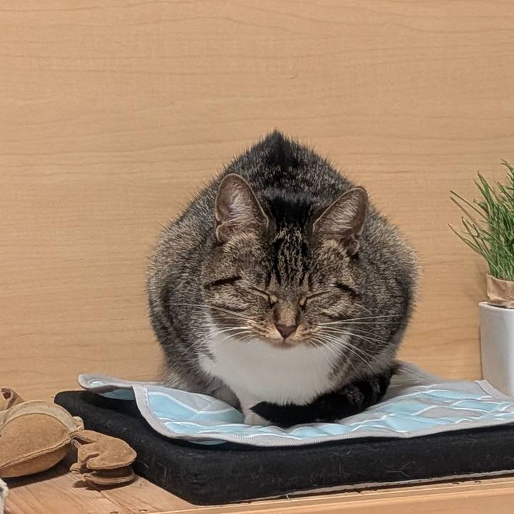 F036fad1 1eb7 4329 be23 879e1edec495 1761226190416