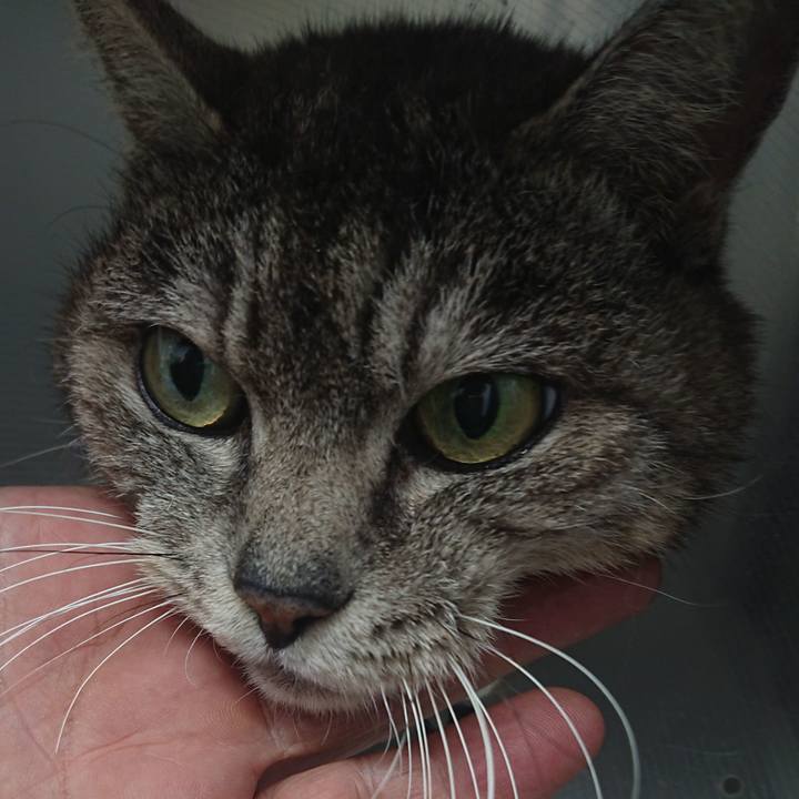 F0375136 5c2e 4c11 a6c0 3839ea901f9d 1585904123742