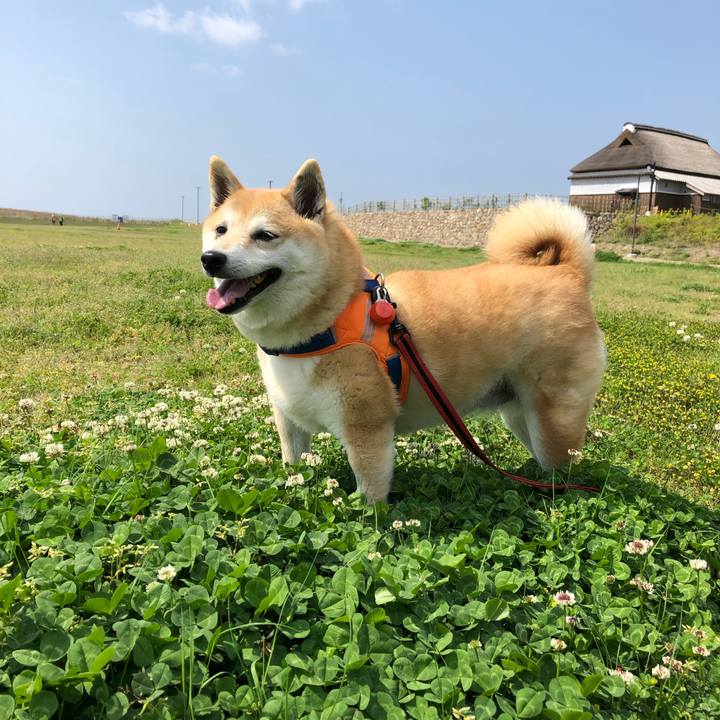 F03771f5 818b 4bd1 8911 2b188bc70629 1556802901543