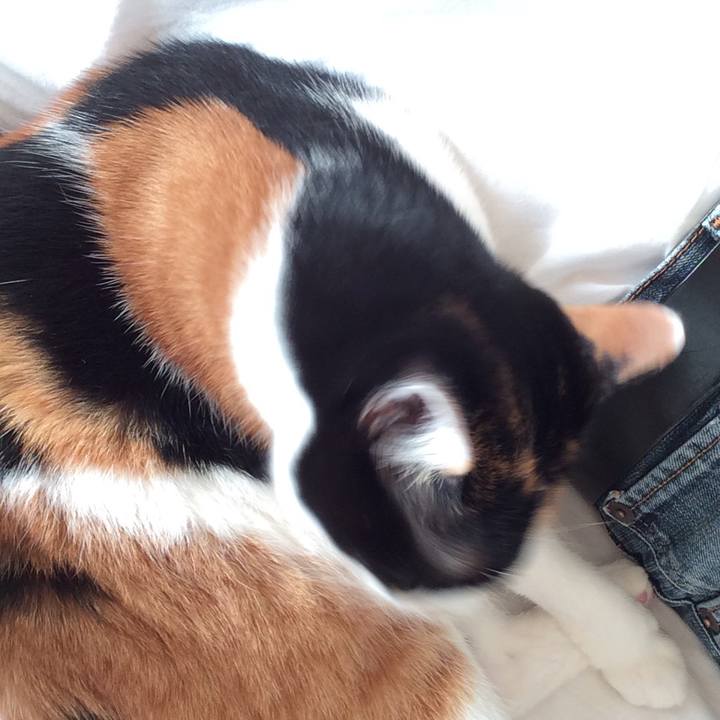 F037935f 2736 402e 835e 20ed196942b3 1543639013010