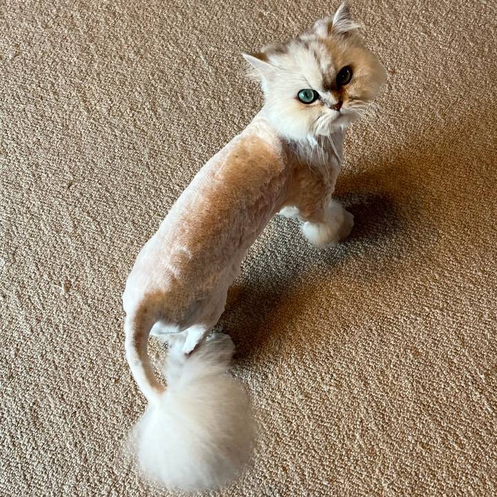 F037a4a2 8965 48db a945 edd1cd55a3b9 1714367785613