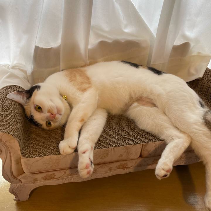 F037ab78 55a7 4566 afa3 726c4388cb52 1673843921515