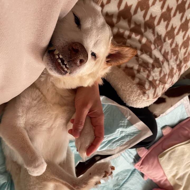 F037b2ce 5f30 41f9 936f 7bd73a1677ee 1677977535859