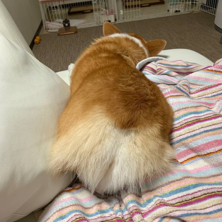 F037bd51 2c8d 4caf 9a43 e6e2c880f990 1559662129406