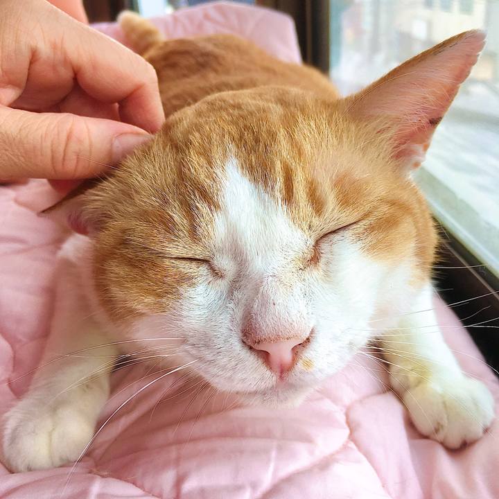 F037d651 935c 4531 895c 0b3a536785e0 1595754459378